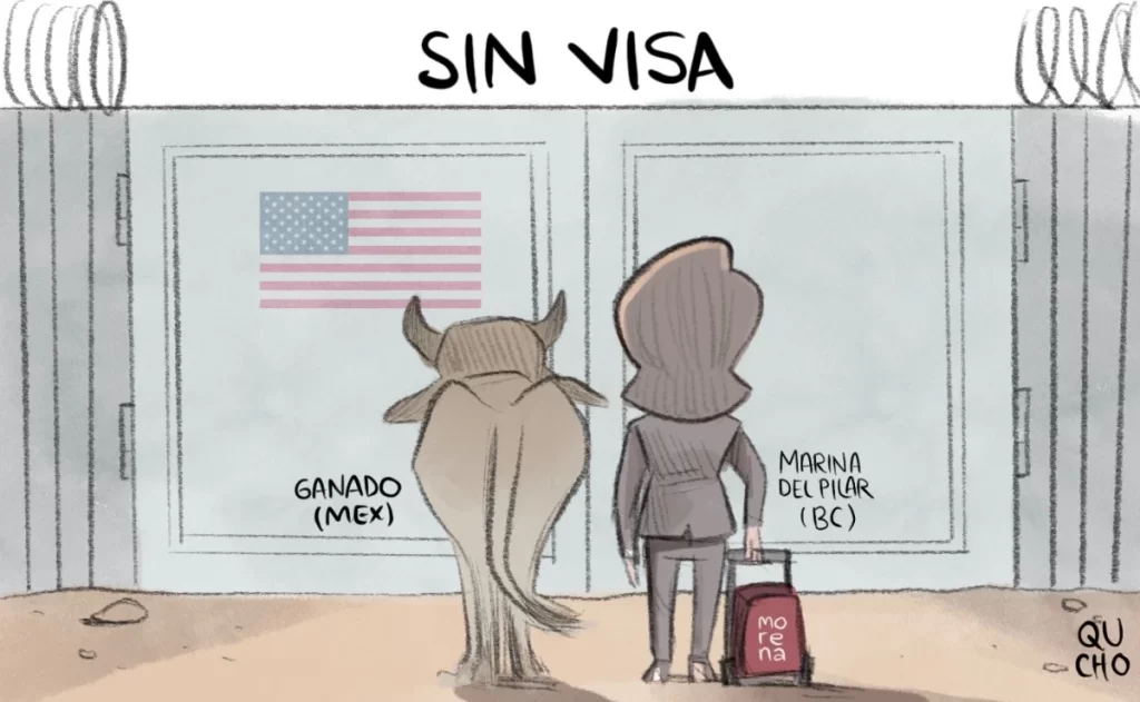 Cartón Qucho