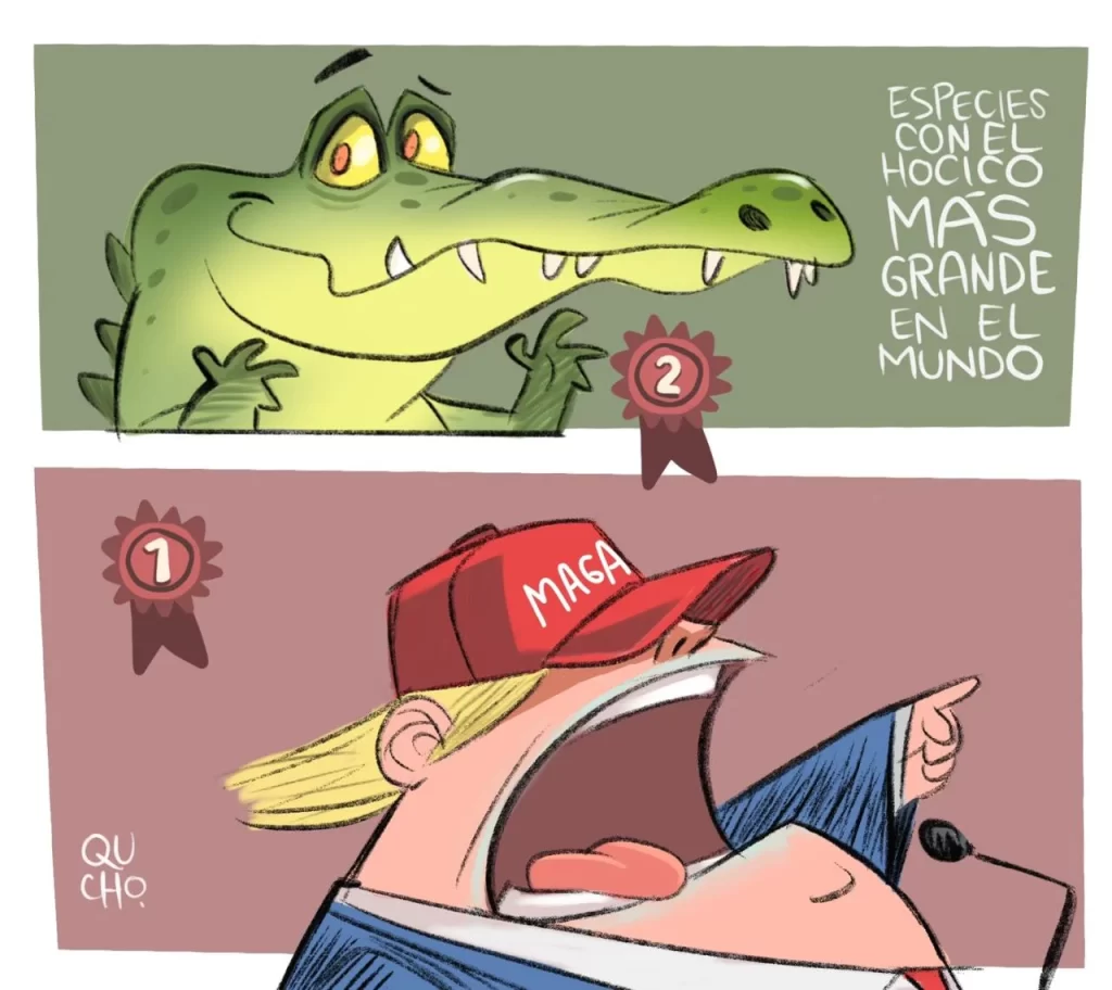 Cartón Qucho