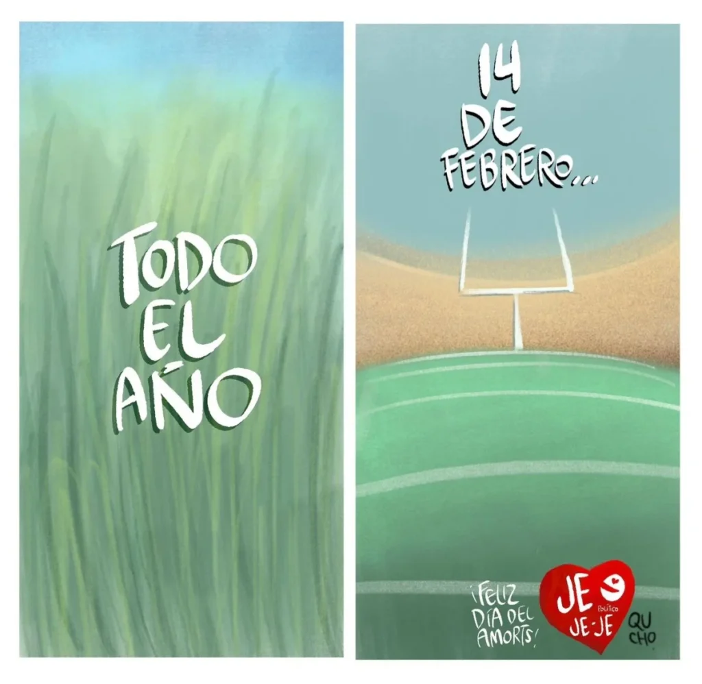 Cartón de Qucho sobre el campo podado