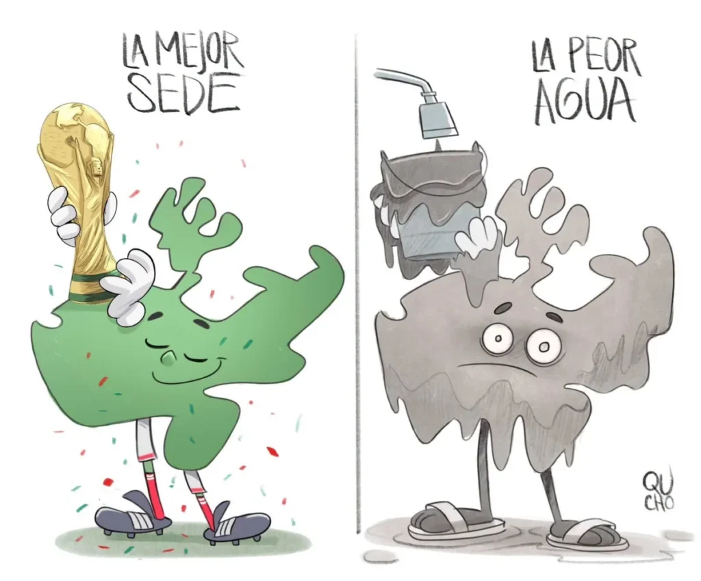 Cartón de Qucho sobre el agua puerca