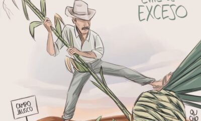 Cartón de Qucho Moreno sobre el maguey y el campo