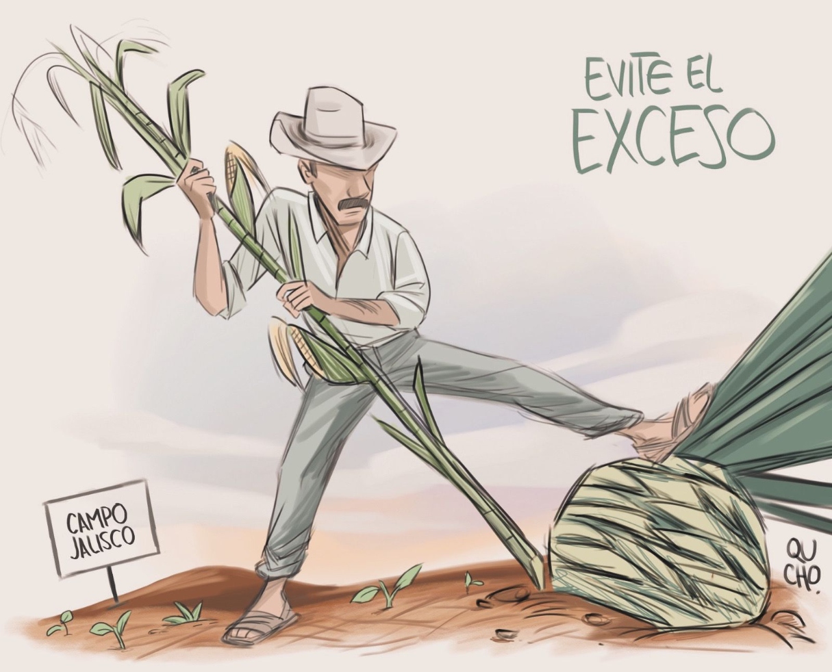 Cartón de Qucho Moreno sobre el maguey y el campo