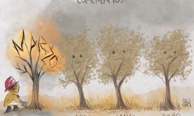 Cartón de Qucho Monero sobre los incendios en el Bosque de la Primavera