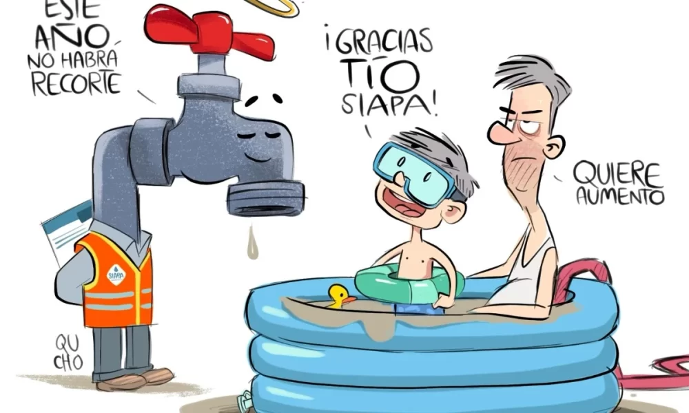cartón qucho
