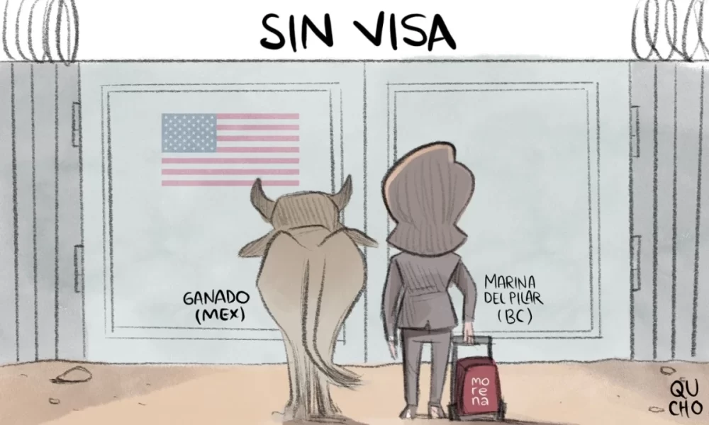 Cartón Qucho