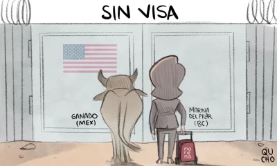 Cartón Qucho