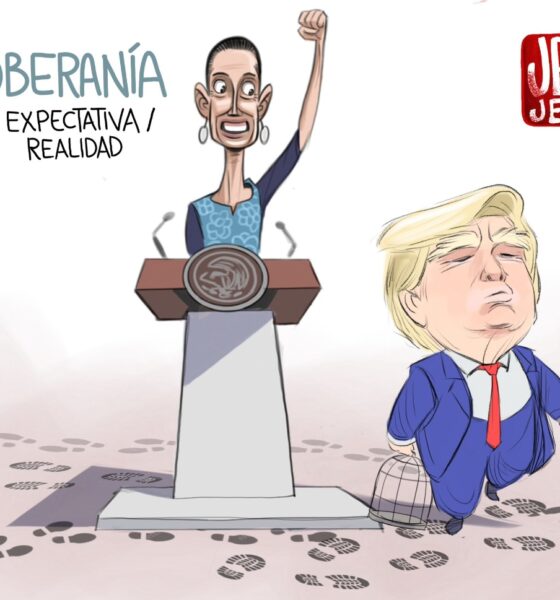 Qucho Cartón