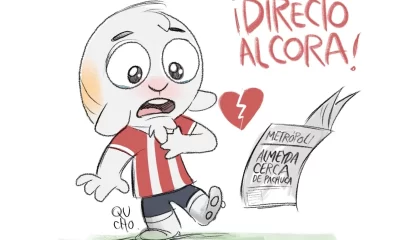 Cartón de Qucho