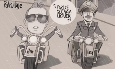 Cartón Qucho