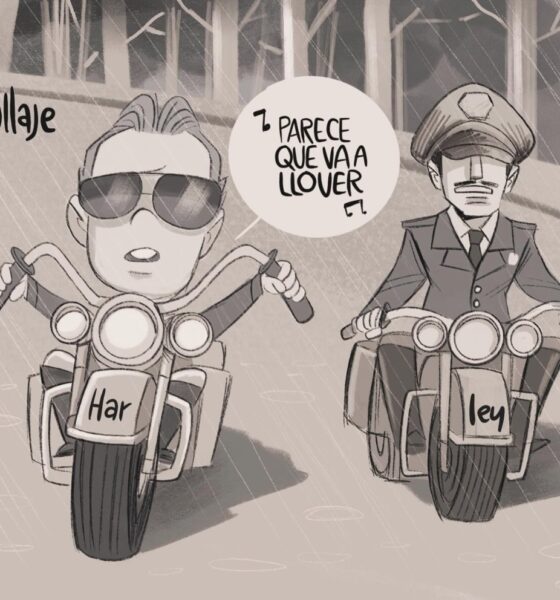 Cartón Qucho