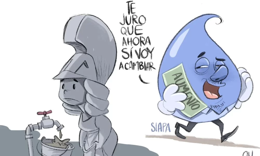 Cartón de Qucho