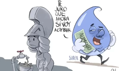 Cartón de Qucho