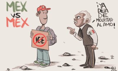 Cartón Qucho