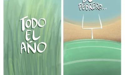 Cartón de Qucho sobre el campo podado