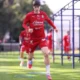 Chivas libera a sus seleccionados