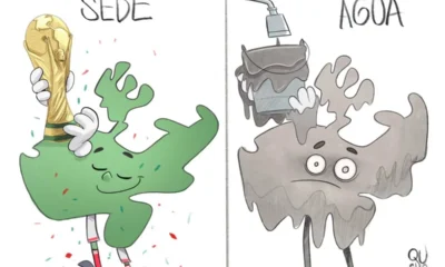 Cartón de Qucho sobre el agua puerca