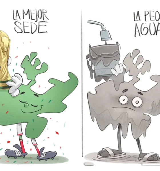 Cartón de Qucho sobre el agua puerca