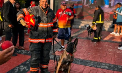 Bomberos de Zapopan participan en la Carrera Vertical 2026 en la Torre Armstrong