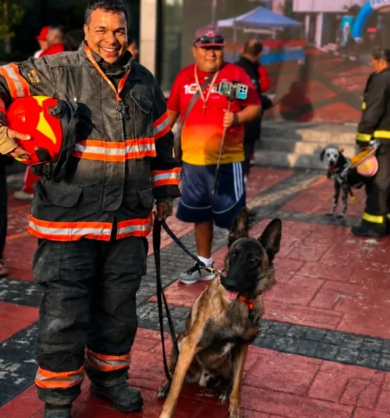 Bomberos de Zapopan participan en la Carrera Vertical 2026 en la Torre Armstrong