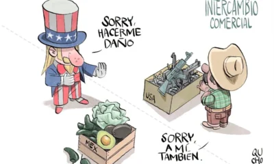 Cartón de Qucho sobre el aguacate