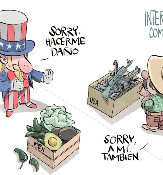 Cartón de Qucho sobre el aguacate